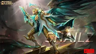 RANK PUSH / SHAILZ