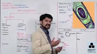 1ST YEAR BIOLOGY LEC#5 NUTRITION IN BACTERIA, GRANULES, SPORES AND CYST
