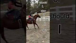 Guess in the comments #horse #horseriding #eventer #equestrian #futureeventer #horsegirl #ottb