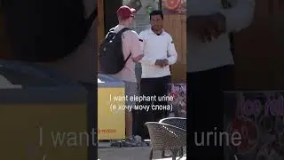 Отрывок #пранк - фильма &laquo;Египетский треугольник&raquo; Два друга в отеле, один хочет сок #пранки #розыгрыш