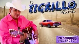 El Tigrillo Palma De Oro 💥 20 Exitos Puros Corridos Mix Para Pistear 2025