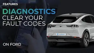 How to Quickly Clear Fault Codes? | Ford | Carista Scanner