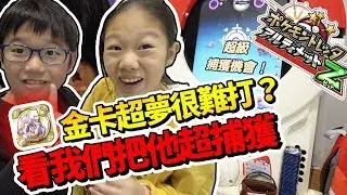 【MK TV】Pokemon Tretta金卡超夢很難打？看我們怎麼把他打到超捕獲！第13彈金卡居然第3次就全部打完成了！