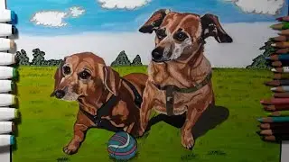 HOW TO DRAW DOG PORTRAIT by Rox arts