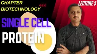 Single Cell Protein (SCP) Easy Explain | in Urdu | in Hindi