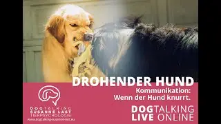 Podcast # 30 Drohender Hund - Kommunikation: Wenn der Hund knurrt