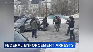Witnesses describe 'violent' arrests by federal agents