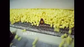 Shaoxing Lizhong High Quality Pineapple Fluidized IQF Quick Freezer