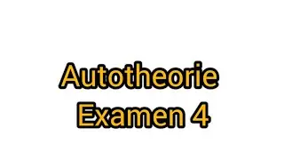 Autotheorie examen 4 Tigrinya & Nederlands