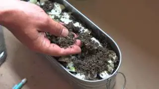 How to Plant My Seeded Wedding Invitation
