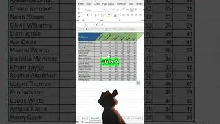 How to aligned the coloumn in excel #excelshortcuts #excel #spreadsheetmagic #officeexcel #office