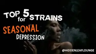 Winter Blues Begone: Top 5 Mood-Lifting Cannabis Strains for Seasonal Depression Relief