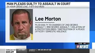 Fruita man pleads guilty to domestic violence charges