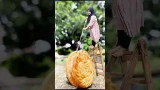 ide konten menggunakan Biskuit #shortvideo #photography