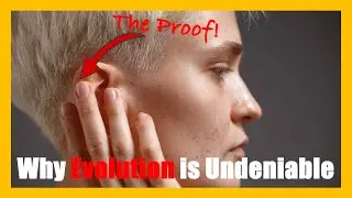Proofs of Evolution: 12 Evolutionary Leftovers in Humans #evolution  #darwin