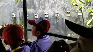 Serunya outing di BBIB SINGOSARI MALANG (Kelas 1 SD Islam Sabilillah Sidoarjo)