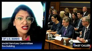 Rashida Tlaib Gets REJECTED By Bank CEO Over Ending Fossil Fuel Production