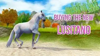 Buying The New Lusitano - Star Stable Online