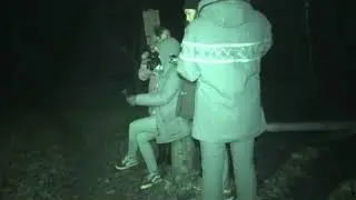 TempelBos