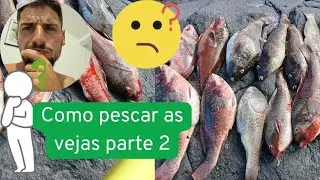 Como pescar as vejas parte 2🤔