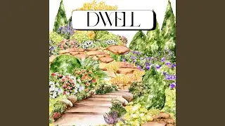 Dwell