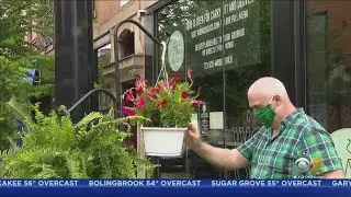 Kehoe Designs Turns To Pop-Up Green Market Gardens