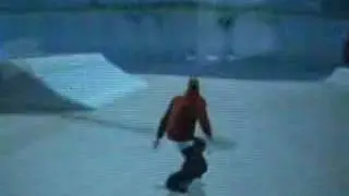 andrew reynolds fs flip el toro