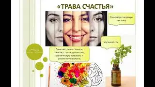 DoTERRA  Эфирное масло МАЙОРАН