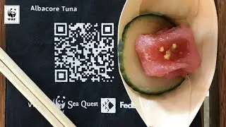 Bait To Plate: Using Blockchain In The Tuna Industry | WWF-Australia