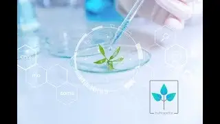 Nutracetix - All natural formulated supplements for your mind, body and soul.