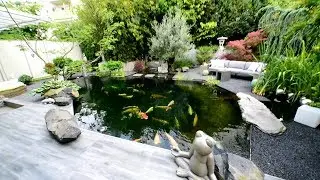 Modern Koi Blog #3206 - Manuela & Hans Traumanlage mit 55.000 Liter Teich