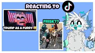 Furry Reacts to Furry TikToks! (Awkward Commentary Warning😭)