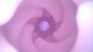 Fleshlight Adriana Chechik Empress texture - inside cam