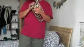 Mein Es Horn / Althorn / Eb horn/ Altohorn / Tenor horn