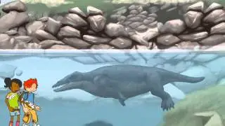 Evolution of the Whale