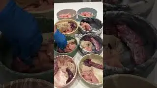 Daijia Food Channel - Three-color radish and Yam Chicken Soup #Me and my dog#vlog 1 Billio