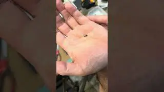 BC Precision 10,000 ct silver zinc plated 4.5mm/.177 cal BBs first look 