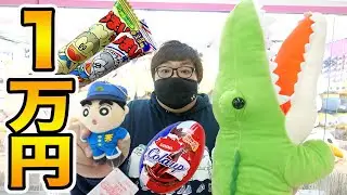【巨大に挑戦?!】クレーンゲーム１万円で景品をどんどん大きくしていったら何個とれるのか?!