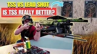 🦃Do You Really NEED TSS for Turkeys? Testing TSS vs Lead | TSS Turkey Hunting | Southern Draw