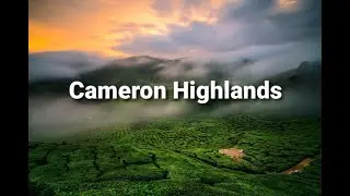 Cameron Highlands/20 | My Travel | Beautiful Nature