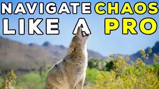 Can the Ute Tribes Coyotes Teach Us to Navigating Life&rsquo;s Chaos