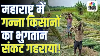 Maharashtra Sugar Crisis: महाराष्ट्र में गन्ना किसानों का भुगतान संकट गहराया, ISMA ने जताई चिंता!