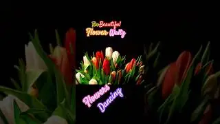 Did you witness a moment of flowers dancing? If not,you&rsquo;re missing out.Watch & take ur morning dose.