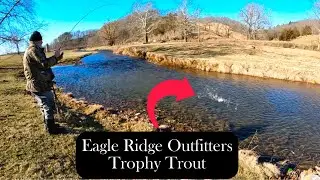 Awesome day of Trout Fishing @ Eagle Ridge Outfitters Trophy Trout Stream! World Famous Cripple Ck!