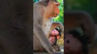 Mom Julina Just Gave Birth To Baby Boy