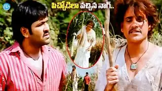 పిచ్చోడిలా మారిపోయిన నాగ్..| Krishnarjuna Movie Nagarajuna Highlight Scene |@idreamvizag