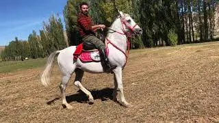 Geleneksel Yöntemlerle Binicilik