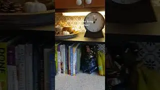 Low income living Apartment Tour! #vlog #inspiration #lowincome #lowincomeliving #apartment #home