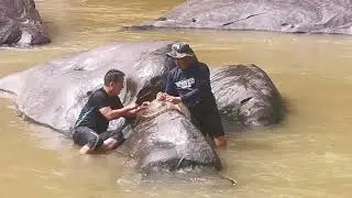 menjala ikan Batu