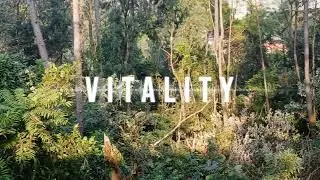 Đỗ Minh Qu&acirc;n GWDS - Vitality